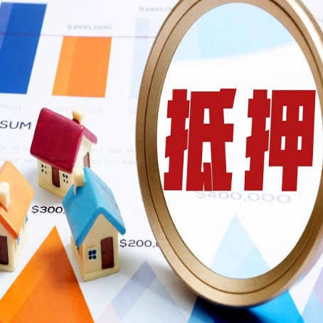 泸水助贷公司推荐一家新渝启服